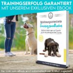 HUND IST KÖNIG® Leckerlibeutel für Hundetraining – Robuster, kompakter Futterbeutel mit Kotbeutelspender & Trainings-Ebook