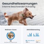 Tractive XL GPS Tracker – Robust, langlebig & weltweit ortbar