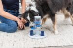 TRIXIE Dog Activity „Gambling Tower“ – Intelligenzspielzeug für Hunde, 25×27 cm