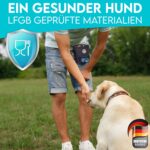 HUND IST KÖNIG® Leckerlibeutel für Hundetraining – Robuster, kompakter Futterbeutel mit Kotbeutelspender & Trainings-Ebook