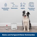 PetSafe Hunde-Trainingstool – Fernsteuerung & Clicker für positive Verstärkung