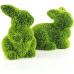 2 X Hase-11 Cm