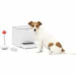 PetSafe Teach und Treat Ferngesteuerter Belohnungstrainer für Hunde