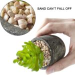 Set mit 5 künstlichen Sukkulenten & Töpfen – Bunte Deko für Zuhause, Büro & Outdoor