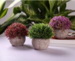 T4U Künstliche Sukkulenten im Topf, 3er, Dekorative Kunstpflanzen für Zuhause, Büro & Hochzeit