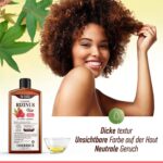 Bio Rizinusöl 150-900 ml – 100 % rein & kaltgepresst für Haare, Wimpern & Nägel