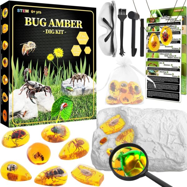 Bernstein Ausgrabungsset für Kinder – Mit 7 Insektenfossilien & Zubehör – Ab 6 Jahren