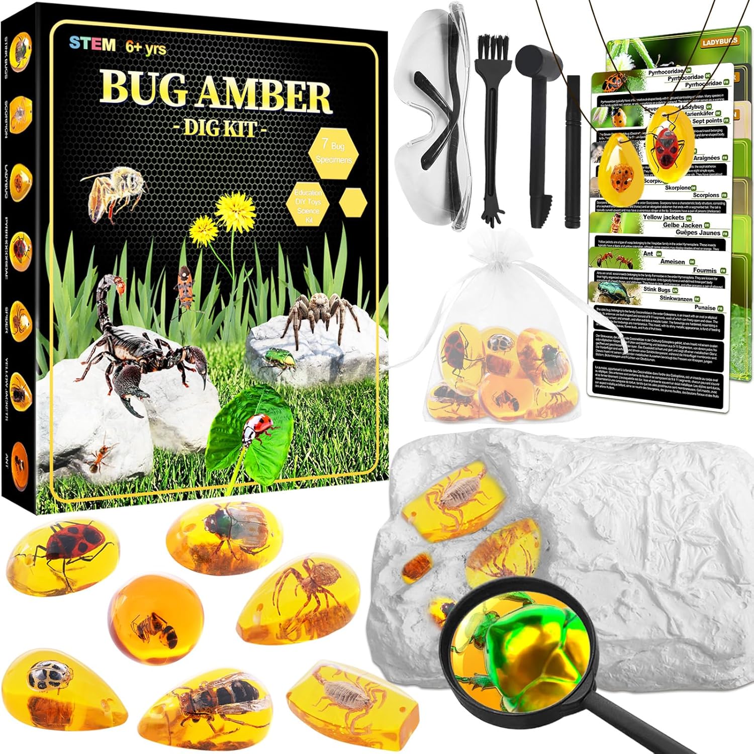 Bernstein Ausgrabungsset für Kinder – Mit 7 Insektenfossilien & Zubehör – Ab 6 Jahren