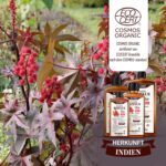 Bio Rizinusöl 150-900 ml – 100 % rein & kaltgepresst für Haare, Wimpern & Nägel