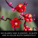 LEGO Pflaumenblüte 10369 – Kreatives Deko-Bauset für Erwachsene
