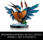 LEGO Icons Eisvogel – Deko-Vogel Bauset für Erwachsene, Büro & Zuhause (10331)