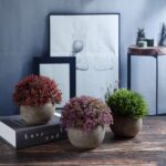 T4U Künstliche Sukkulenten im Topf, 3er, Dekorative Kunstpflanzen für Zuhause, Büro & Hochzeit