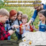 Bernstein Ausgrabungsset für Kinder – Mit 7 Insektenfossilien & Zubehör – Ab 6 Jahren