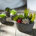 Set mit 5 künstlichen Sukkulenten & Töpfen – Bunte Deko für Zuhause, Büro & Outdoor