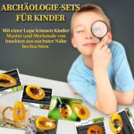 Bernstein Ausgrabungsset für Kinder – Mit 7 Insektenfossilien & Zubehör – Ab 6 Jahren