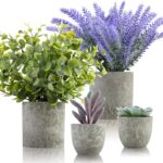 Lavendel