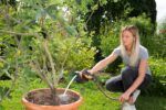 Gardena Multibrause – Vielseitige Gartenbrause mit mehreren Sprühfunktionen