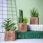 BEGONDIS LED-Sukkulenten 3er-Set in Holzkiste – Deko für Tisch, Büro & Valentinstag