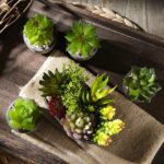 Set mit 5 künstlichen Sukkulenten & Töpfen – Bunte Deko für Zuhause, Büro & Outdoor