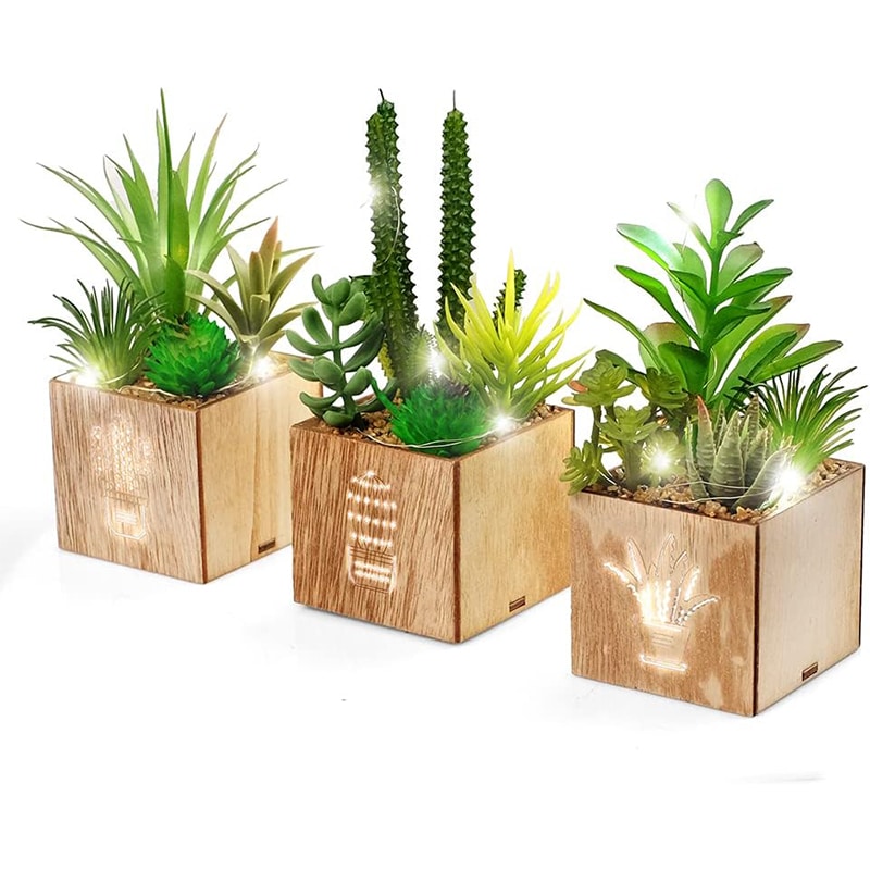 BEGONDIS BEGONDIS LED-Sukkulenten 3er-Set in Holzkiste – Deko für Tisch, Büro & Valentinstag