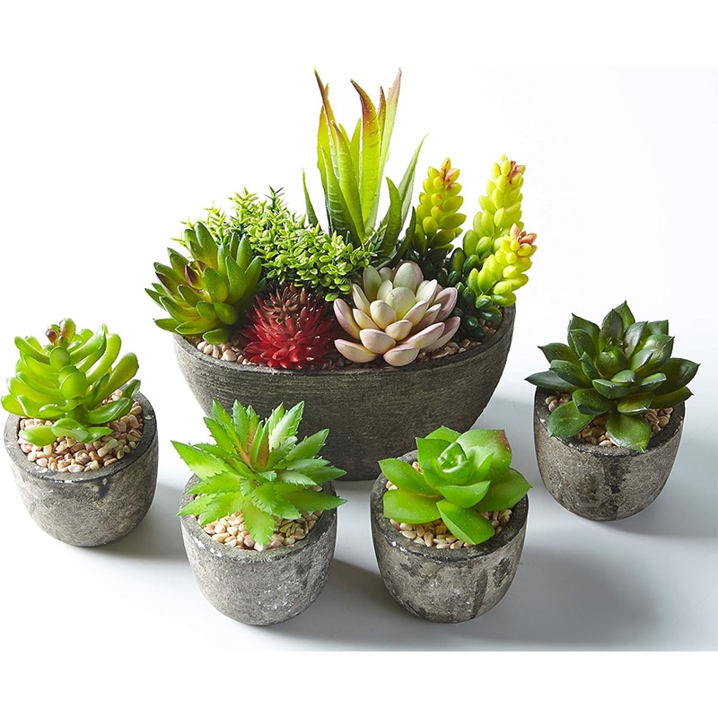 flowers Set mit 5 künstlichen Sukkulenten & Töpfen – Bunte Deko für Zuhause, Büro & Outdoor