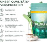 Primal Harvest® Collagen MCT Pulver – Bioaktives Kollagen & Kokos, geschmacksneutral & löslich