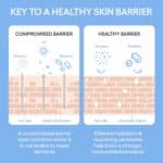 LANEIGE Cream Skin - 2-in-1 Toner & Moisturizer with Amino Acids