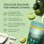 Primal Harvest® Collagen MCT Pulver – Bioaktives Kollagen & Kokos, geschmacksneutral & löslich