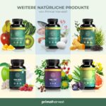Primal Harvest® Collagen MCT Pulver – Bioaktives Kollagen & Kokos, geschmacksneutral & löslich