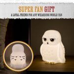 Harry Potter Hedwig Nachtlicht – Offizielles Stimmungslicht für Kinder, batteriebetrieben