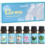 Sauber
