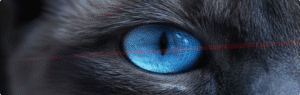 Bluetooth Katzen Laser