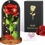 Romantische Rote Rose