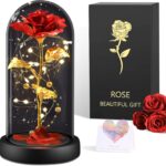 Klassische Rote Rose