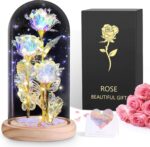Ewige Rose im Glas mit LED – Romantisches Geschenk für Frauen & Dekoration