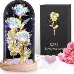 Ewige Rose im Glas mit LED – Romantisches Geschenk für Frauen & Dekoration
