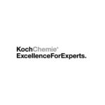 Koch Chemie Insect & Dirt Remover 750 ml – Insektenentferner für Fahrzeuge – Bild 2