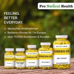 Berberin 500 mg (180 Kapseln) – Hochdosiert 97% HCl, vegan & Made in Germany – Bild 5