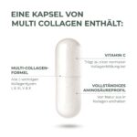 Primal Multi Collagen Kapseln – 5 Kollagentypen mit Vitamin C für Haut & Gelenke – Bild 5