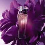Lancôme Trésor Midnight Rose 30 ml – Eau de Parfum mit fruchtig-floralen Noten für Damen – Bild 2