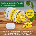 Berberin 500 mg (180 Kapseln) – Hochdosiert 97% HCl, vegan & Made in Germany – Bild 4