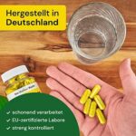 Berberin 500 mg (180 Kapseln) – Hochdosiert 97% HCl, vegan & Made in Germany – Bild 3