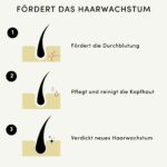 Forest & Shore Haarwuchsöl mit Rosmarin & Rizinus – Natürliche Haarkur für Wachstum – Bild 3