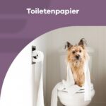 Inoverse Toilettenpapier 3-lagig, 128 Rollen – Premium WC-Papier aus 100% Zellstoff – Bild 6