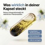 Nigela Schwarzkümmelöl Kapseln DAILY – 180 Bio Kapseln kaltgepresst für tägliche Gesundheit – Bild 3