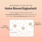 SHEKO Kollagen Pulver 450g – Multi-Kollagen Hydrolysat Typ 1, 2, 3 für Haut & Gelenke – Bild 4