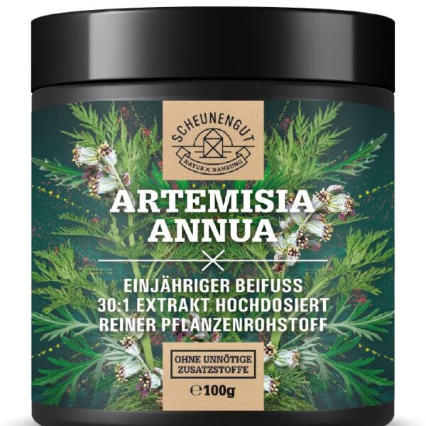 100g Artemisia Annua Extrakt Pulver 30:1 – Hochdosiert mit Artemisinin von Scheunengut