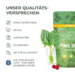 Primal Harvest Super Greens Pulver mit 27 Pflanzenstoffen – Spirulina & Weizengras, 30 Portionen – Bild 8