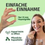 GREEN NATURALS Quercetin Kapseln 500 mg – 180 Stück Vorratspackung aus Sophora japonica – Bild 4