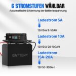 ECO-WORTHY 12V/24V 20A LiFePO4 Batterieladegerät – Intelligentes Multi-Current Schnellladegerät – Bild 3